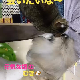 2023/11/26の画像