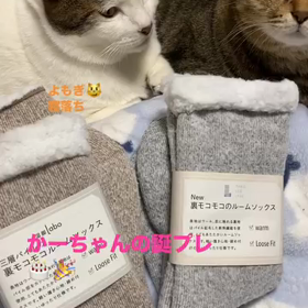 2023/12/19の画像