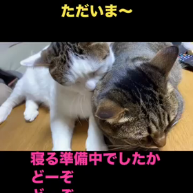2024/01/23の画像