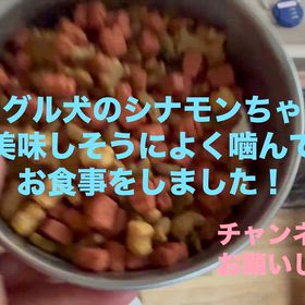 美味しい食事！の画像