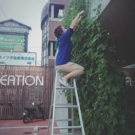 グリーンカーテンの画像