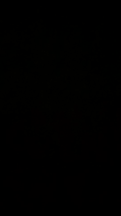田舎の早朝。の記事動画