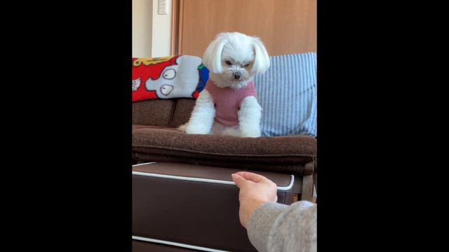 あれのその後〜♪の記事動画