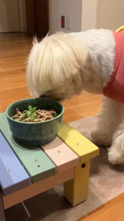 大好物〜♡の記事動画