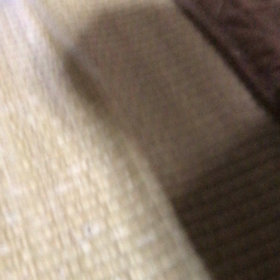 ひめかの声ですの画像