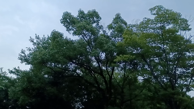 日が暮れての記事動画