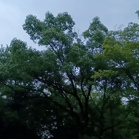 日が暮れての画像