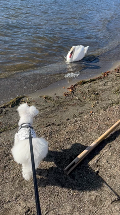 河口湖へ行ってきましたの記事動画
