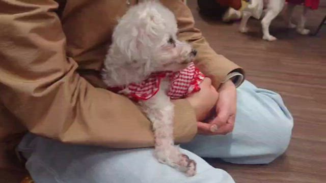 新たなご縁の記事動画