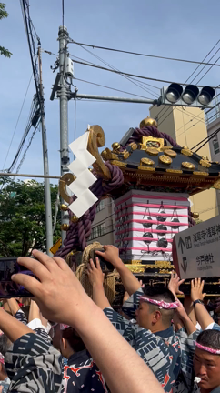 三社祭２０２３の記事動画