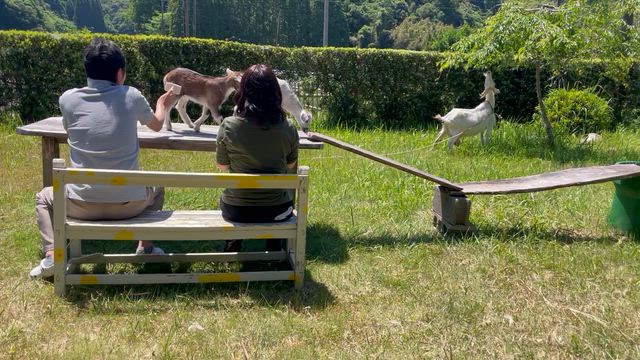 ご両親にプレゼント（ふれあい抱っこ体験）の記事動画