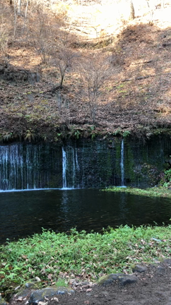 軽井沢の紅葉を見に行って来ましたの記事動画
