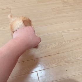 ❤️家族が決まりました❤️の画像