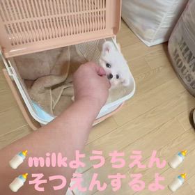 ❤️決まりました❤️白ちゃん❤️動画❤️の画像