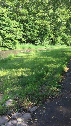【動画投稿】気持ち良い川のせせらぎがすぐそばに。しばらく忘れていましたの記事動画