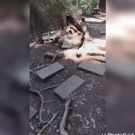 水神様の石鹸の記事動画
