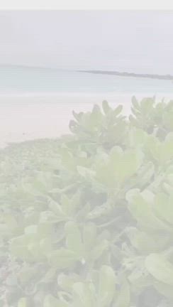 宮古BLUEの物語の記事動画