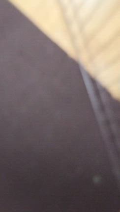 お友達おめでとう と うさ活ロードの記録の記事動画