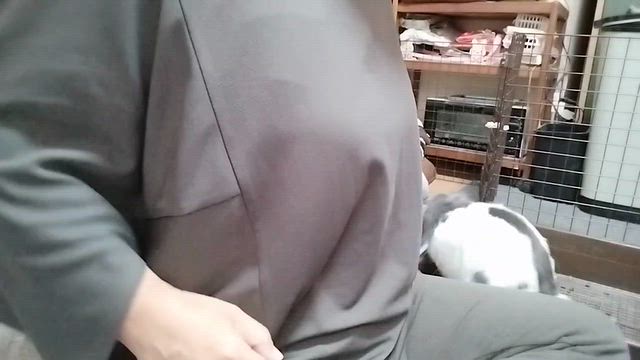 ちっこ報告の舞い♪ ＆ 焼きそばセットの記事動画