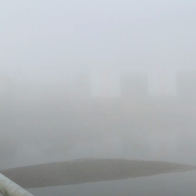 朝霧の時期がきました、、、の画像