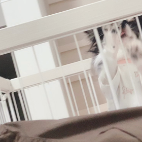 出して出してアピールの画像