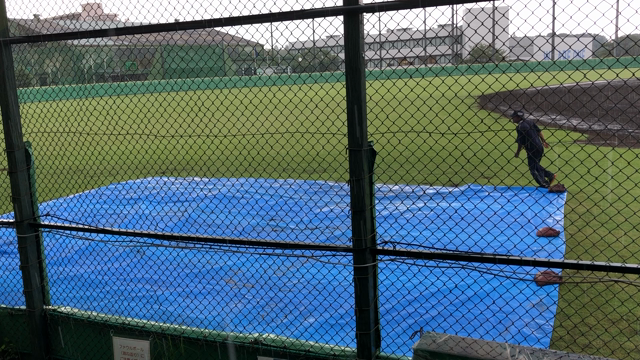 突然の豪雨で見られず…そして今日も！の記事動画