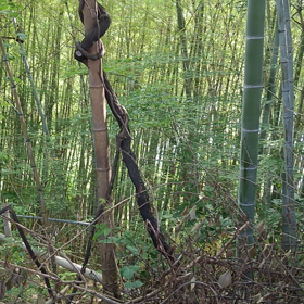 ともに寄り添うから シフトできるの画像