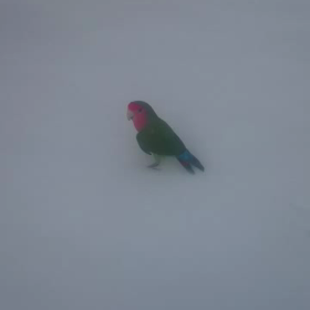 1月18日の画像