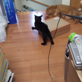 続き…の画像