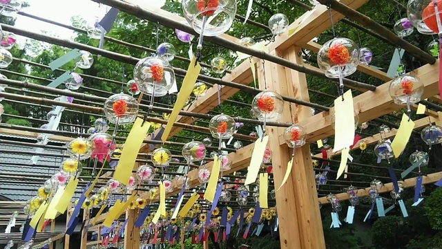 〜京都ぶらり〜正寿院①風鈴まつりの記事動画