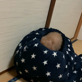 もうすぐ一年の画像