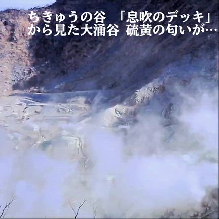 久しぶりの投稿の記事動画