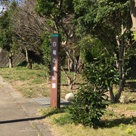 滝の画像