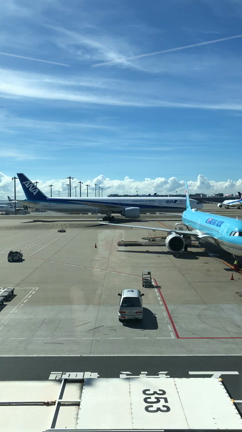 今日は「空の日」ですの記事動画