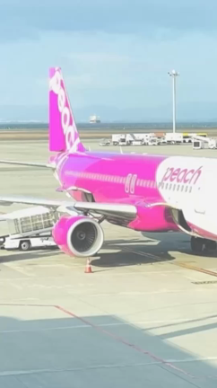 大阪校開校記念オンライン座談会✈︎ピーチ対策の記事動画