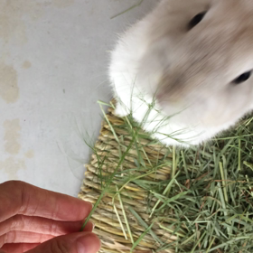 ２週間(´⊙ω⊙`)！の画像