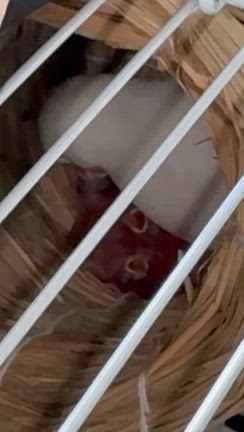【乳がん/抗がん剤治療】目の前にある感謝を感じて…✨の記事動画