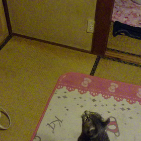 ラジコンヘリちゃん頑張って～～Ｏ(≧∇≦)Ｏの画像