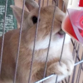 写真整理の画像