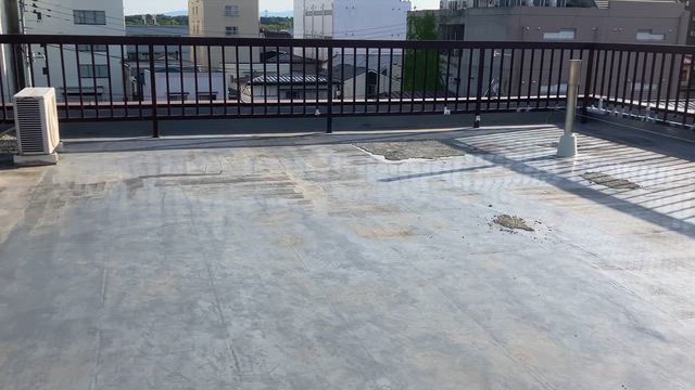 【本日営業日】大阪カレー？の記事動画