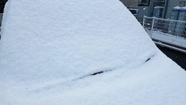 雪の半額弁当争奪戦。笑の記事動画