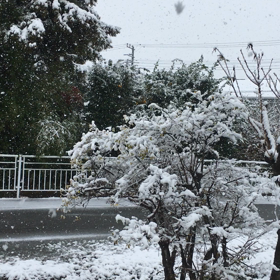 熊谷から…昼wwwの画像