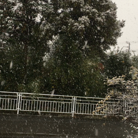 もうこれくらい降ったでの画像