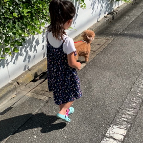 これからお塾~ついでに散歩の画像
