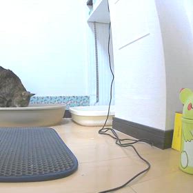 採尿の様子の画像