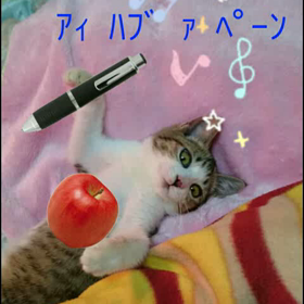 我がﾆｬﾝｺの画像