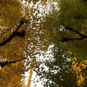 秋を感じる１日でしたの画像