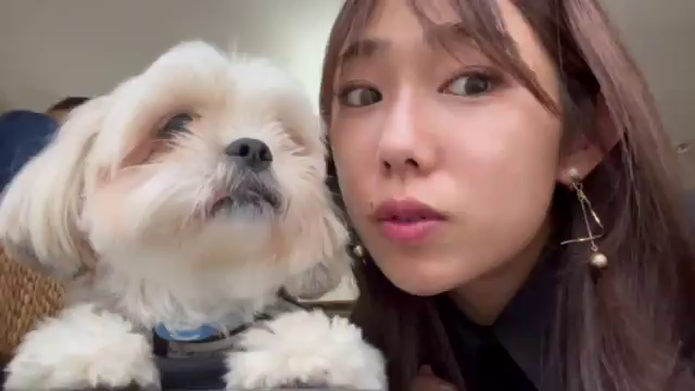 我が家のもふもふ❤️動画も♡の記事動画