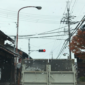 11/14 この音キライ！の画像