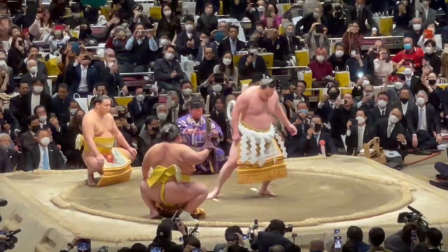 元横綱白鵬断髪式へ行って来ました　　　♪(๑ᴖ◡ᴖ๑)♪の記事動画